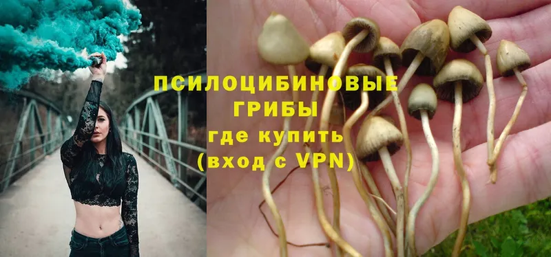 даркнет сайт  Балабаново  Галлюциногенные грибы MAGIC MUSHROOMS 